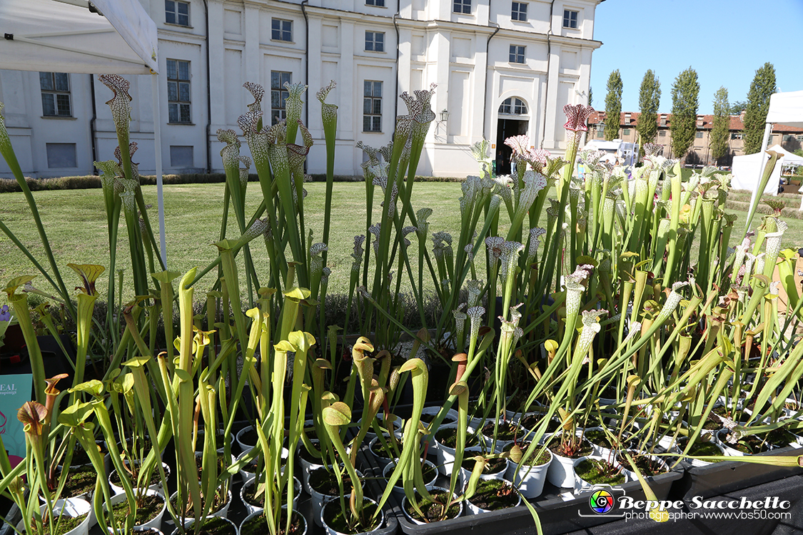 VBS_2390 - FloReal 2021 alla Palazzina di Caccia di Stupinigi.jpg